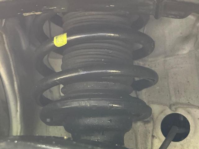21307307_carP_l_20.jpg