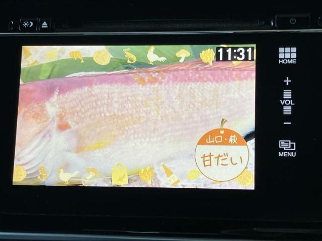 20821065_carP_l_6.jpg