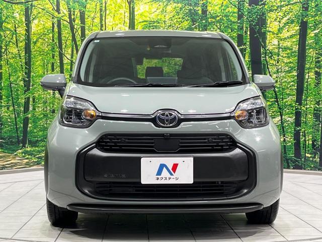 21637925_carP_l_8.jpg