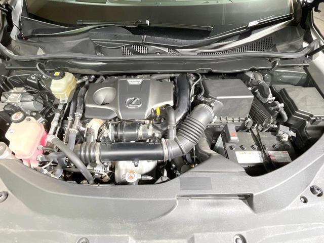 20888439_carP_l_20.jpg