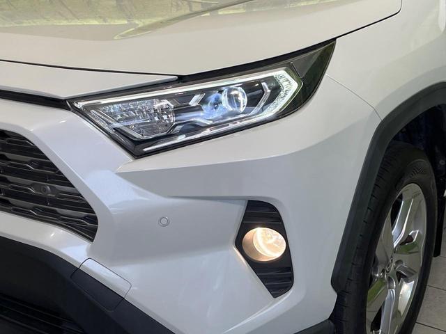 22739153_carP_l_6.jpg