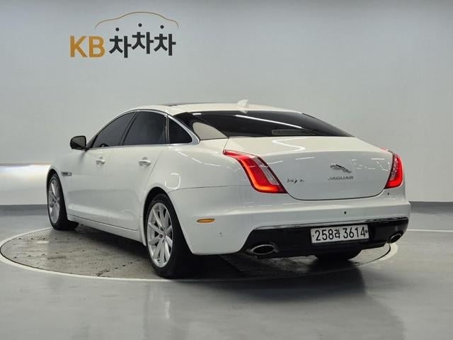 5041501343R2.jpg
