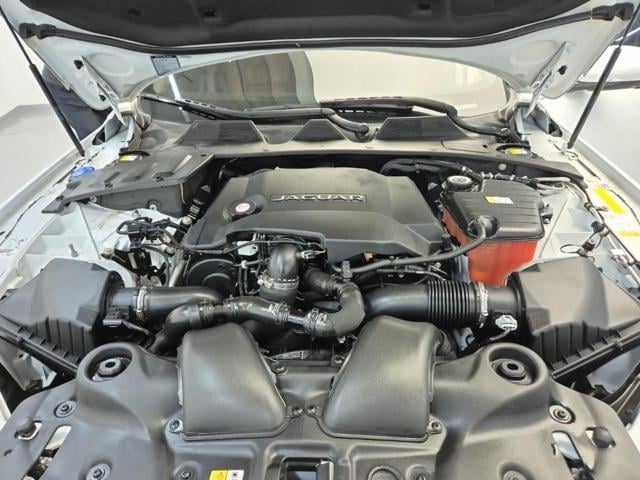 5041501343R5.jpg