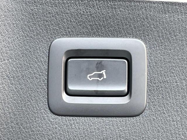 22392671_carP_l_14.jpg