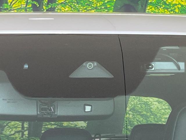 22392671_carP_l_4.jpg