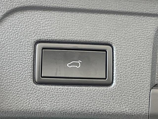 21026970_carP_l_14.jpg