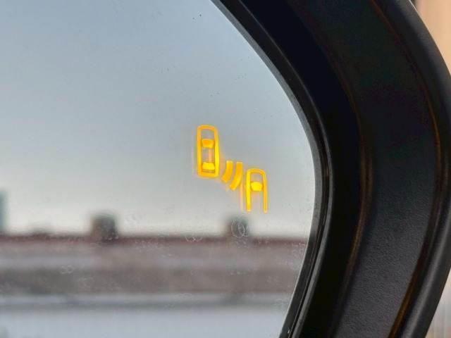 22052478_carP_l_17.jpg