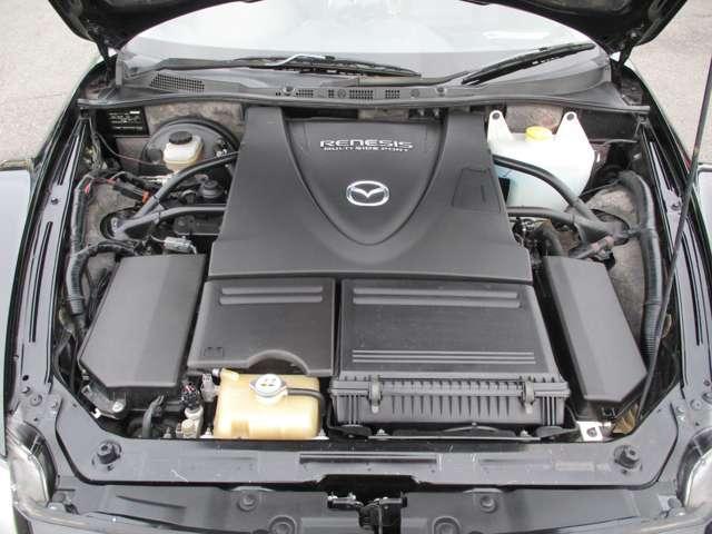 21870762_carP_l_4.jpg