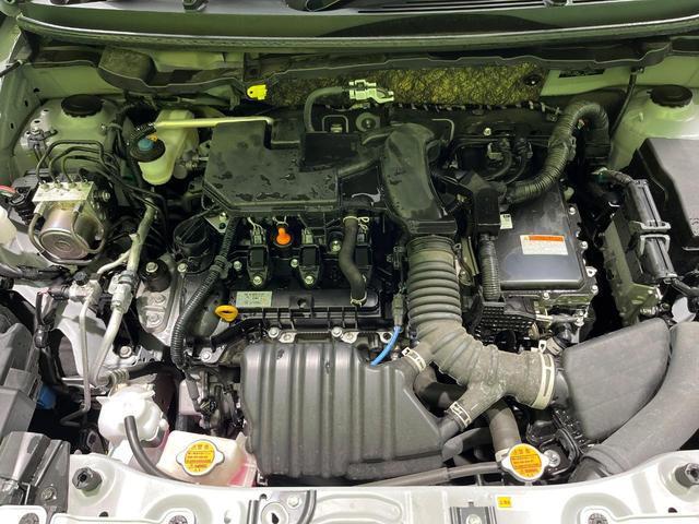20159722_carP_l_16.jpg