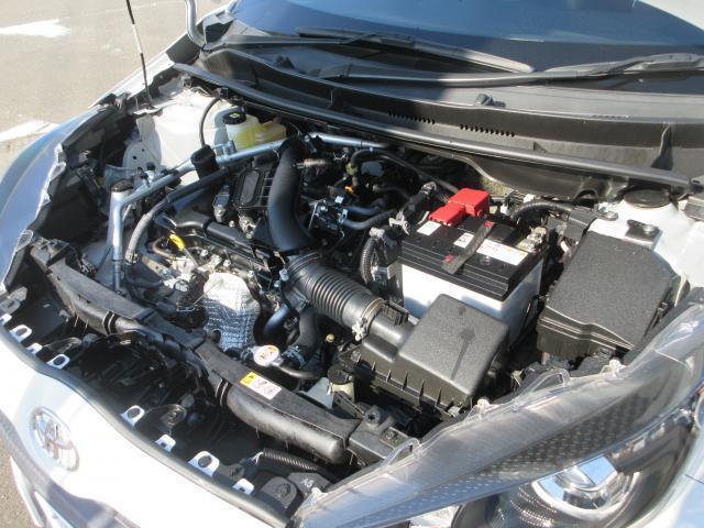 22213270_carP_l_20.jpg