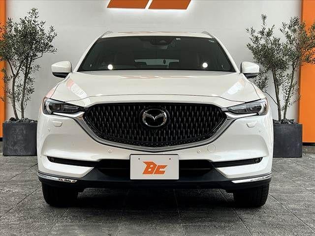deaba4b219e235d4a013e0477a9b7816.jpg