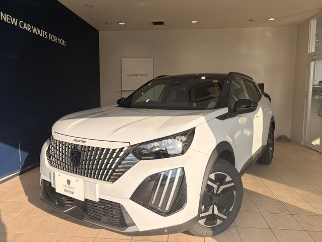 21946474_carP_l_1.jpg