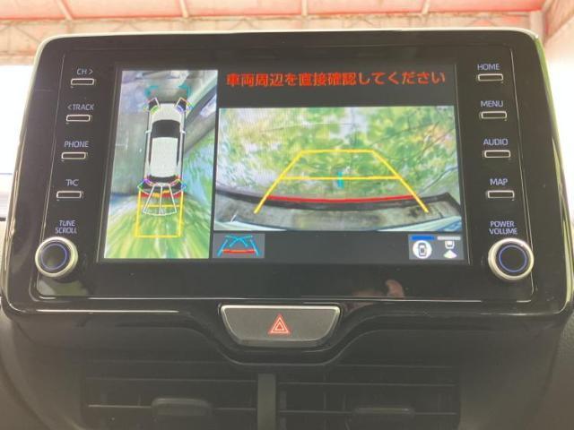 22549119_carP_l_6.jpg