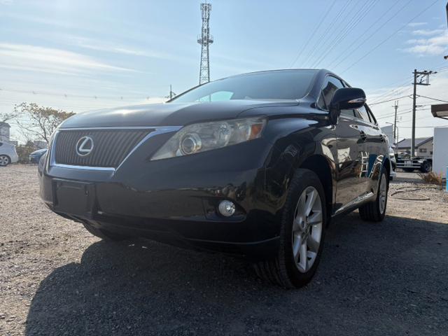 182b657272987a573742323dd5209aed.jpeg