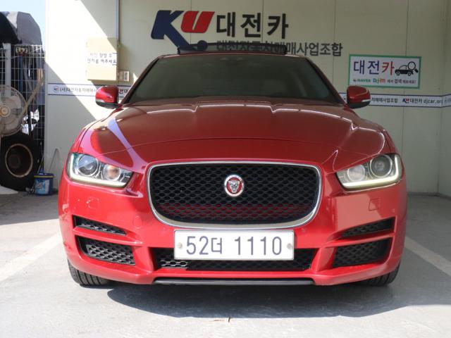 22619738_carP_l_1.jpg