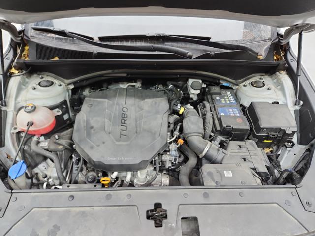 lotterental_141252804_kjBtG_3.jpg