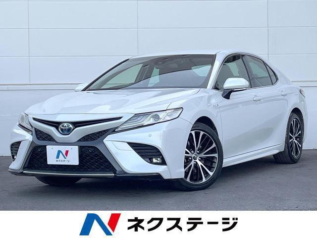 22661001_carP_l_1.jpg
