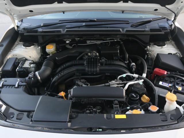 22764778_carP_l_17.jpg