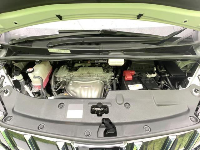 21798637_carP_l_18.jpg