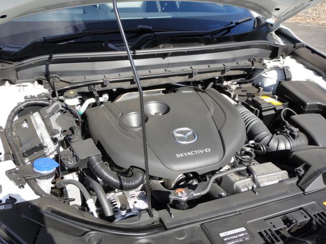 0402359A30260203W00311.jpg
