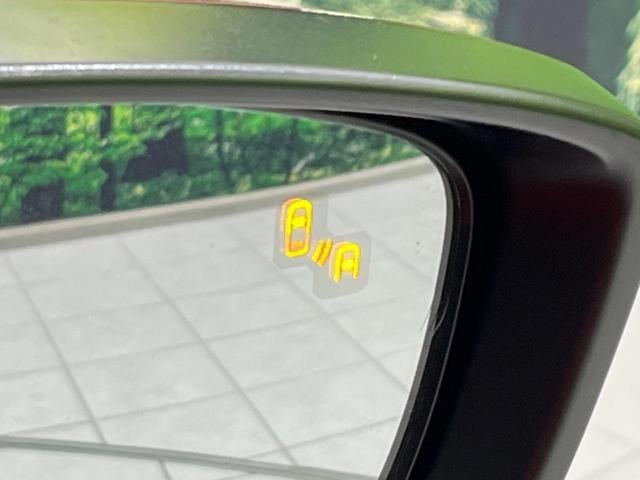 17053489_carP_l_14.jpg