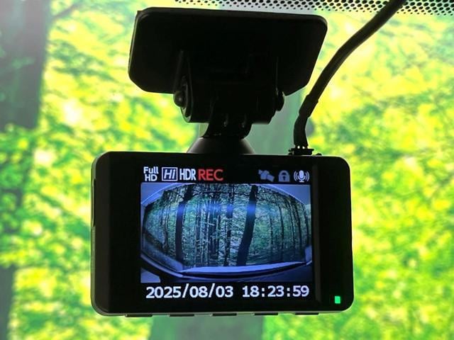 18981627_carP_l_14.jpg