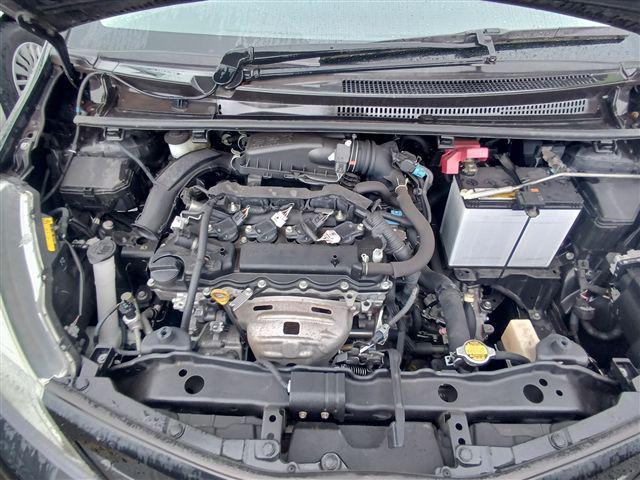08.jpg