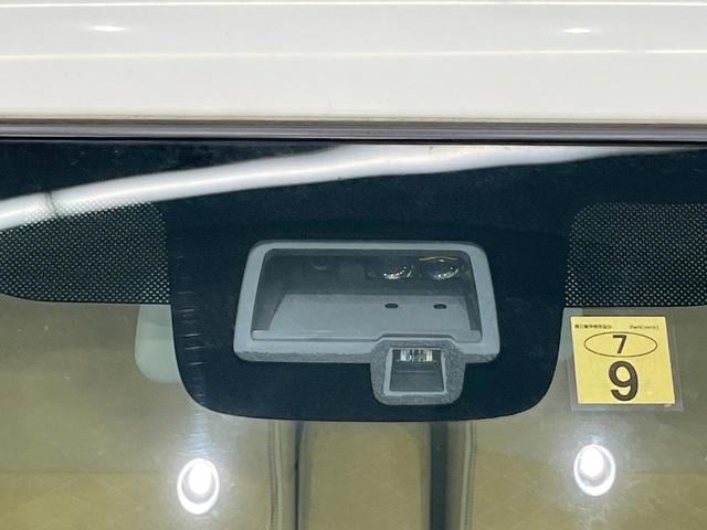 19944720_carP_l_10.jpg
