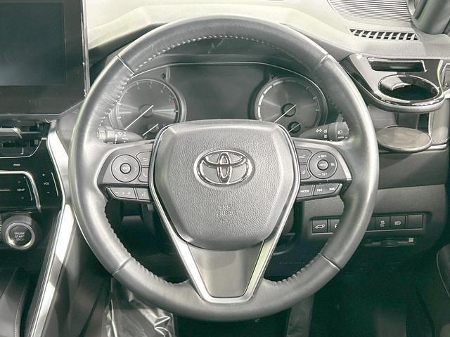 21690376_carP_l_6.jpg