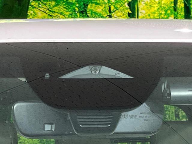 22430015_carP_l_13.jpg