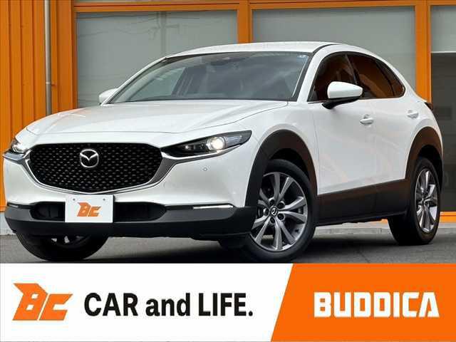 7e3d70cc5b8baafb64cc401e1f479c9b.jpg