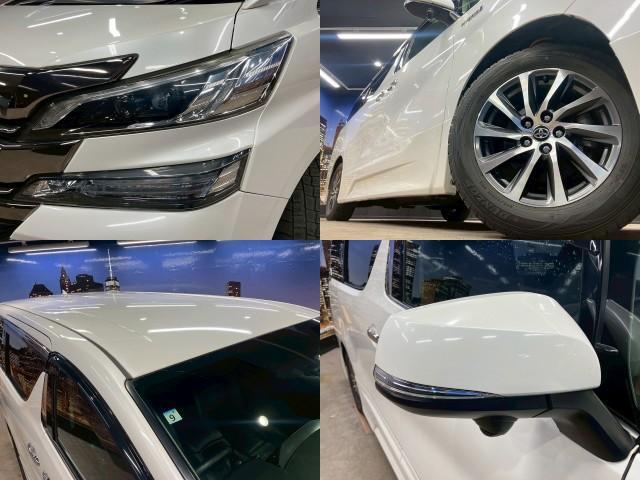 21621146_carP_l_17.jpg