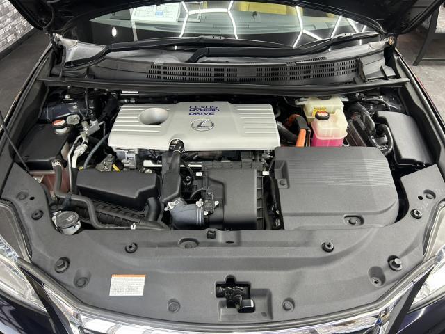 21713599_carP_l_17.jpg