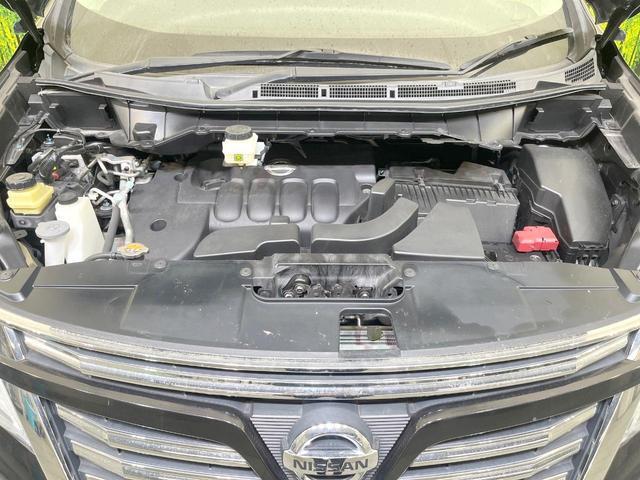 20923233_carP_l_18.jpg