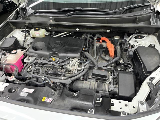 22720454_carP_l_16.jpg
