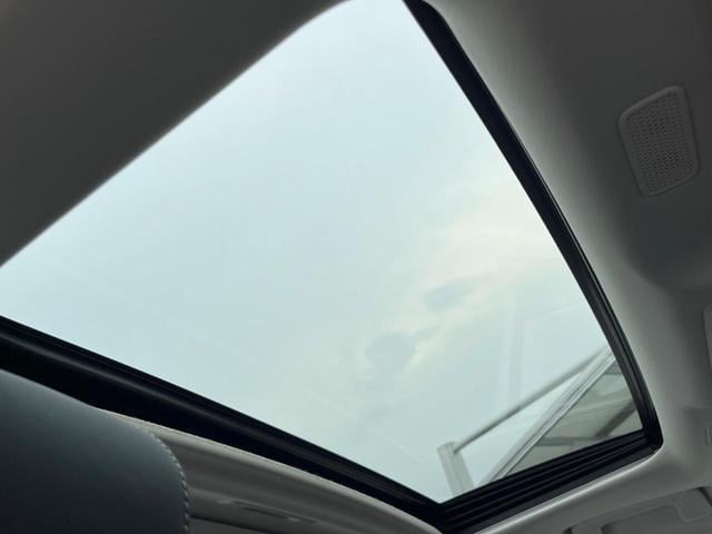 18507119_carP_l_15.jpg