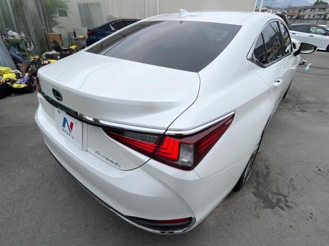 18507119_carP_l_18.jpg