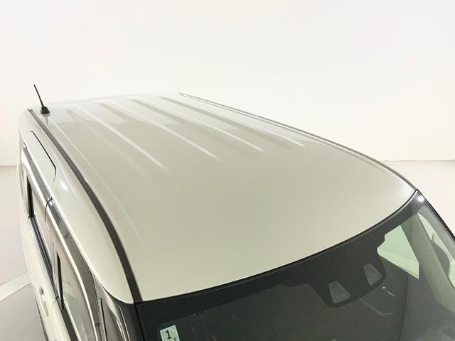 23013327_carP_l_11.jpg