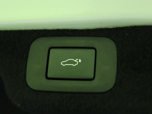 21356300_carP_l_7.jpg