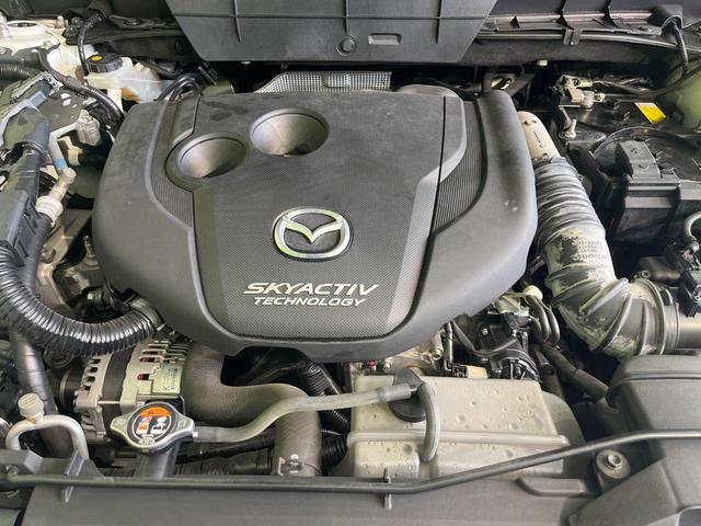 23073954_carP_l_20.jpg