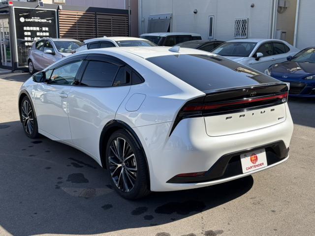 22113371_carP_l_4.jpg