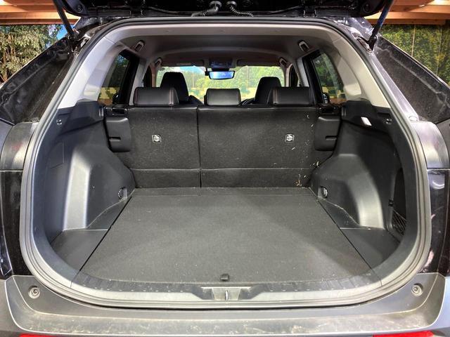 21565692_carP_l_5.jpg