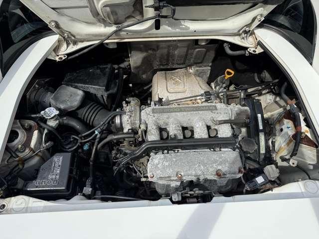 19898776_carP_l_15.jpg