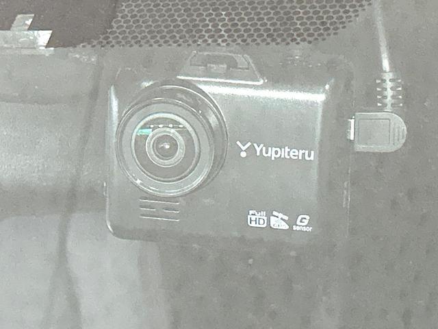 19568402_carP_l_13.jpg