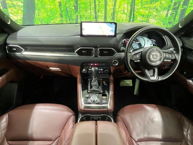 23112292_carP_l_3.jpg