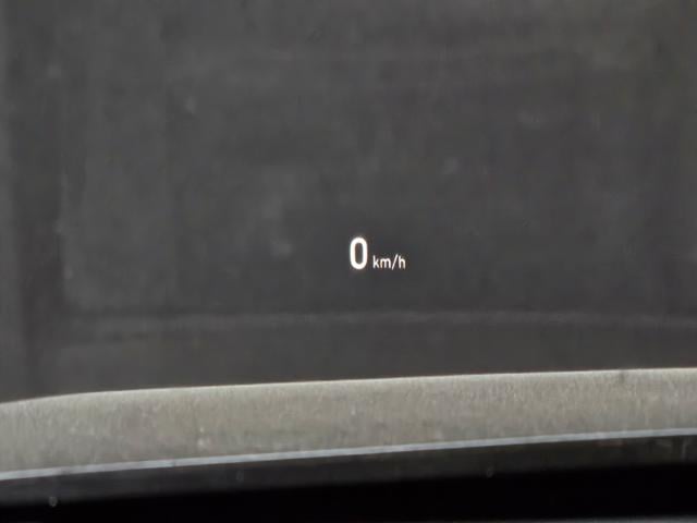 7386e3f96e0152285cf74daf647e8592.jpeg
