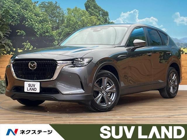 20815793_carP_l_1.jpg