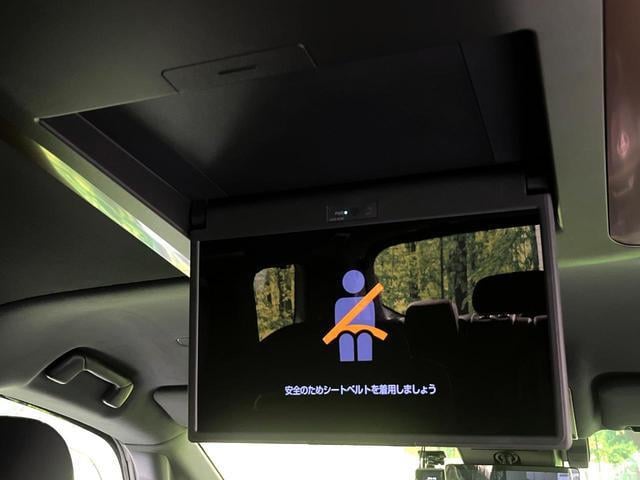 19913720_carP_l_13.jpg