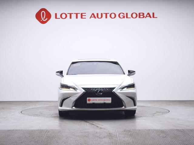 lotterental_112041904_mgYRs_1.jpg