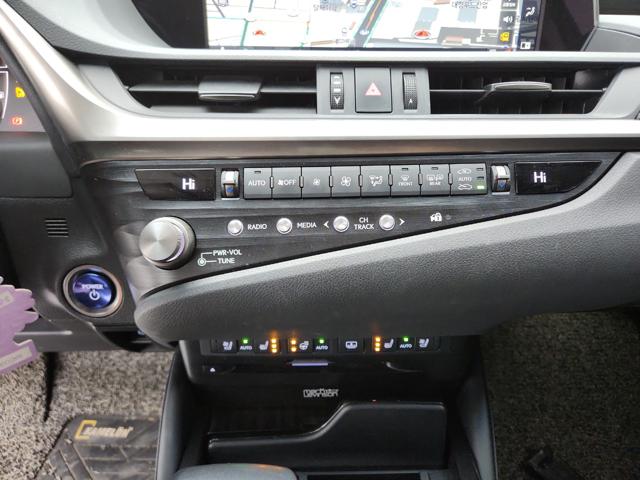 lotterental_112106384_S1Z0g_7.jpg